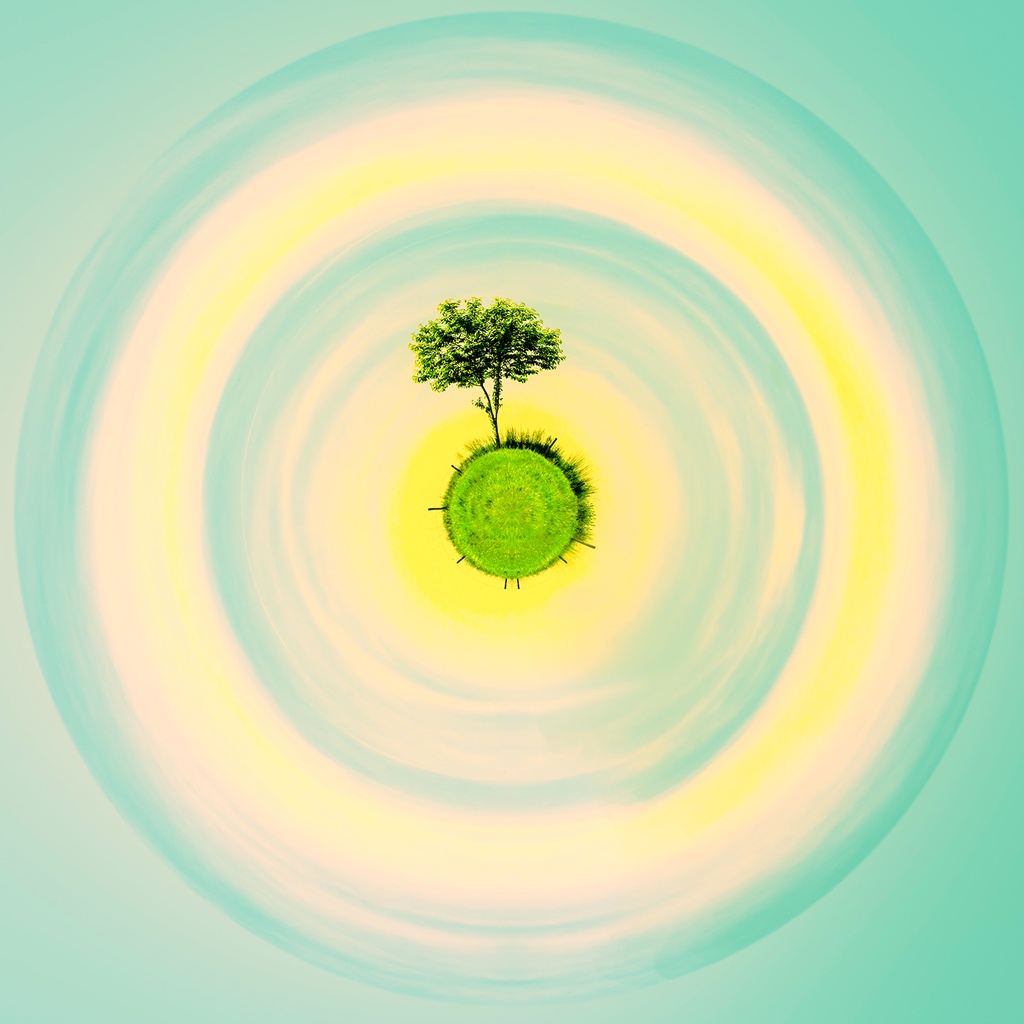 My Lonely tree pop art (80x80cm)