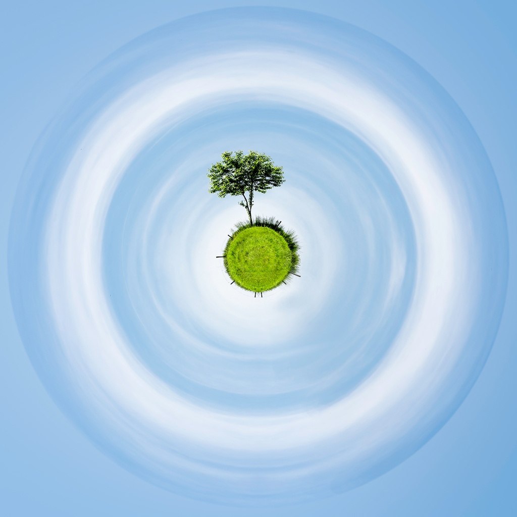 My Lonely tree (80x80cm)