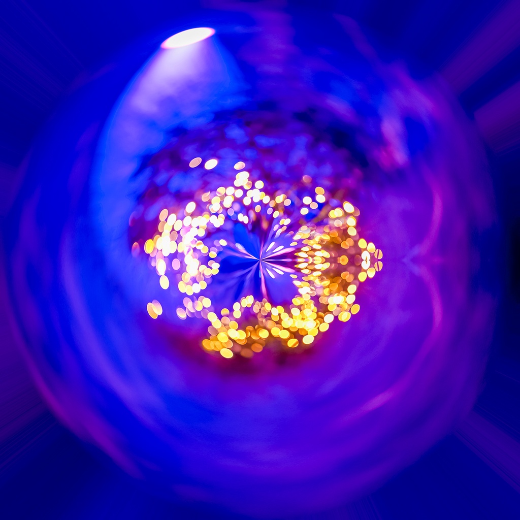 Purple Purple - Nature Illuminated (80x80cm)