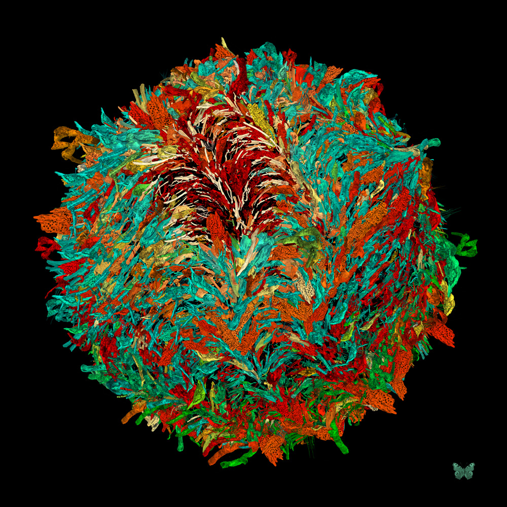 Bosco Pop (80x80cm)