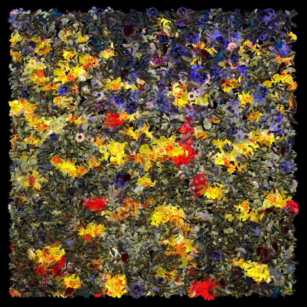 Champ De Fleurs (80x80cm)
