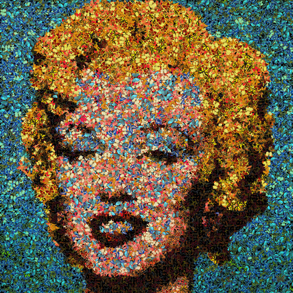 Marilyn Aux Papillons (80x80cm)