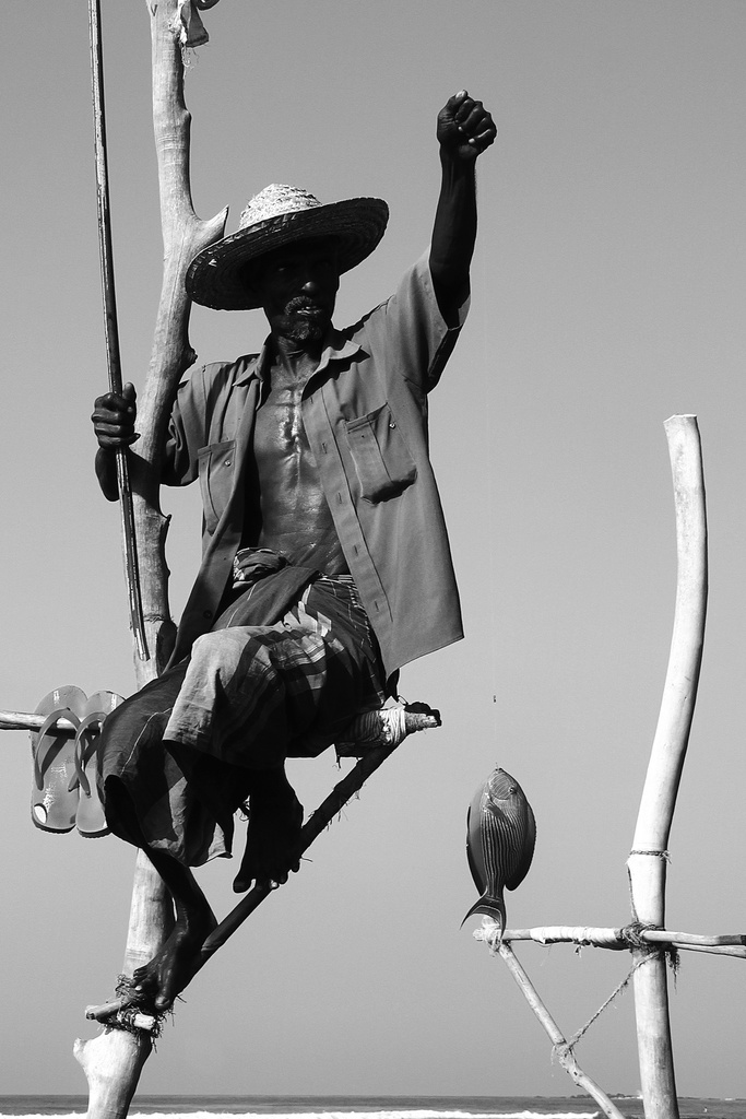 Fisherman Sri Lanka (A2)
