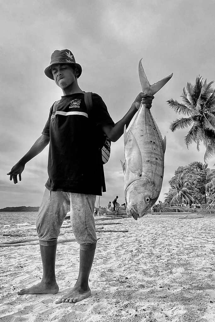 Big Fish (A2)